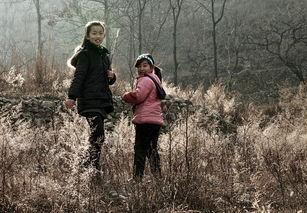 山村姑娘,绽放乡土情怀的青春风采