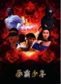 少年拳霸,热血青春，拳拳到肉的成长传奇